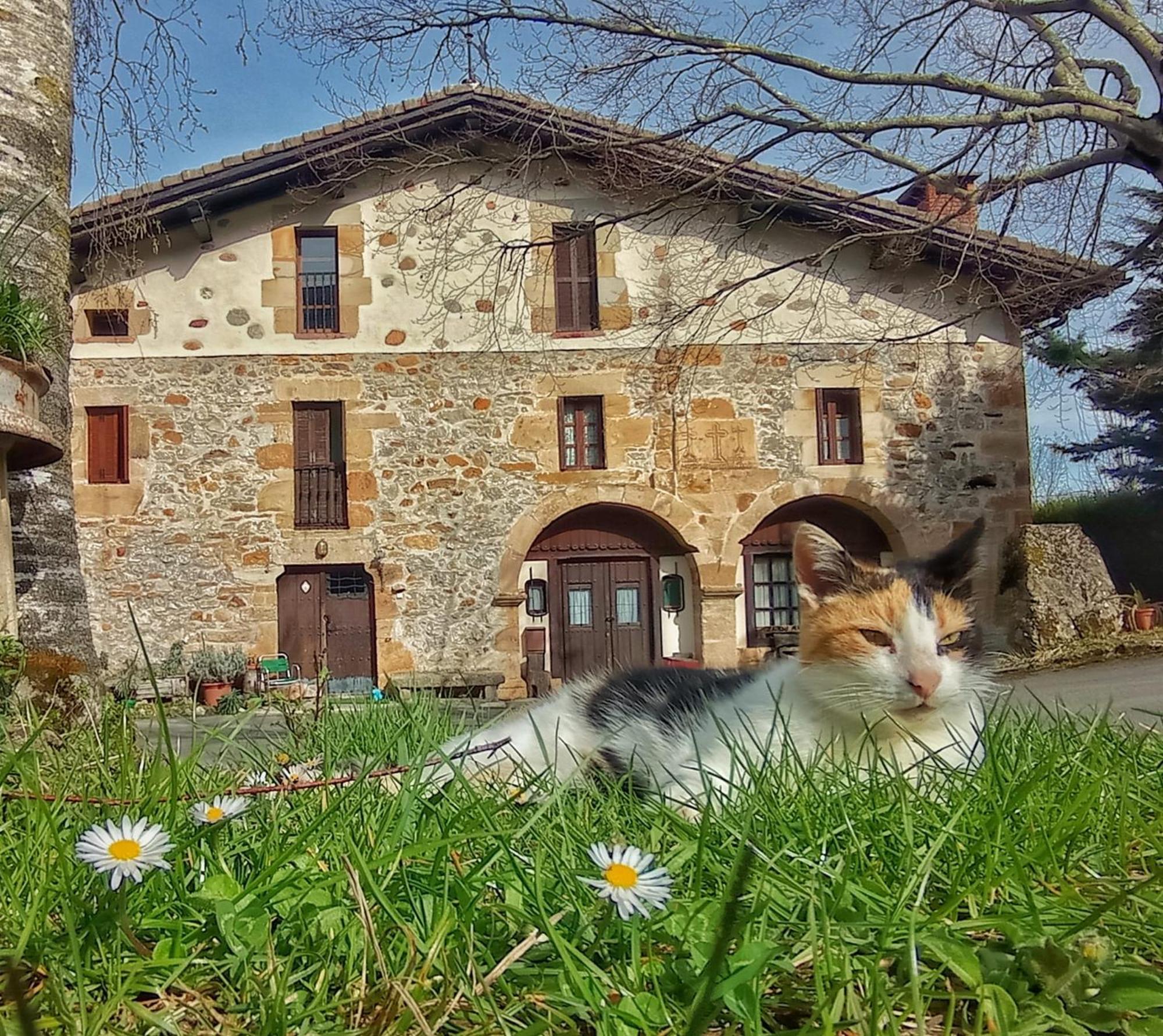 Casa Rural Areano Escoriaza Exteriér fotografie